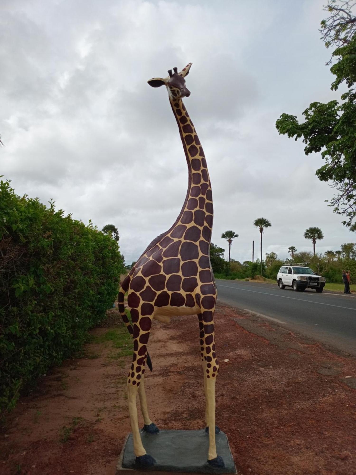 Baobab Lodge Fadial Luaran gambar
