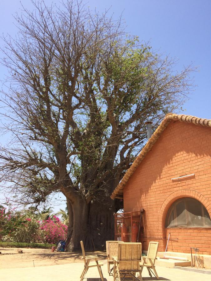 Baobab Lodge Fadial Luaran gambar